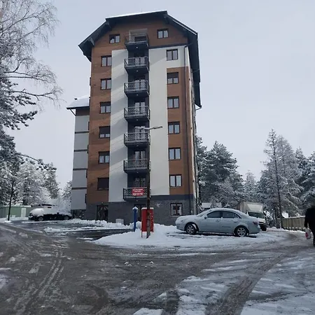 Konstantin * Zlatibor