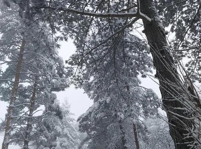 Konstantin * زلاتيبور